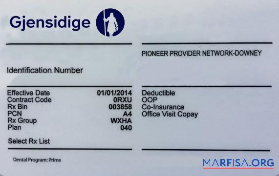 Blank Lithuania health insurance card download for verification